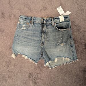 Abercrombie Distressed Cutoff Jean Shorts
